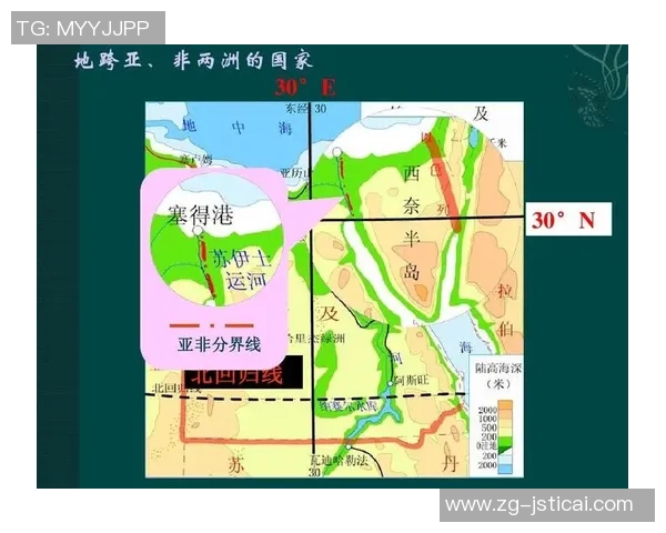 埃及与南非足球对决精彩回顾及最终比赛结果分析